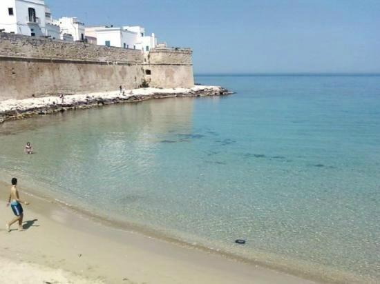 My Monopoli -Casa Dei Fiori Suite "Tulipano Nero" Centro Storico المظهر الخارجي الصورة